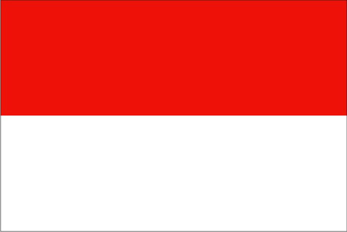 Грузоперевозки из Экспедирование товаров из Индонезии