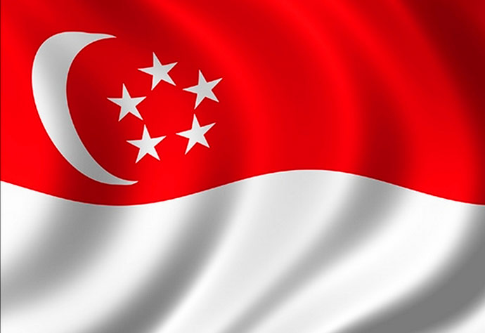 Грузоперевозки из Таможенное оформление из Сингапура